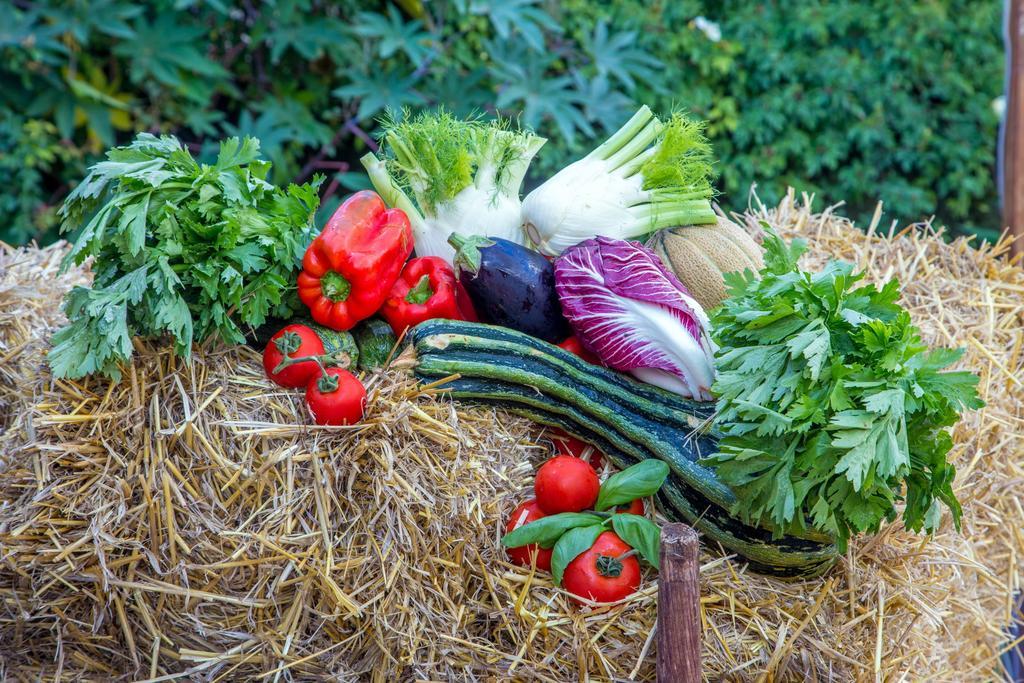 Agriturismo 4 Ricci Черветері Екстер'єр фото